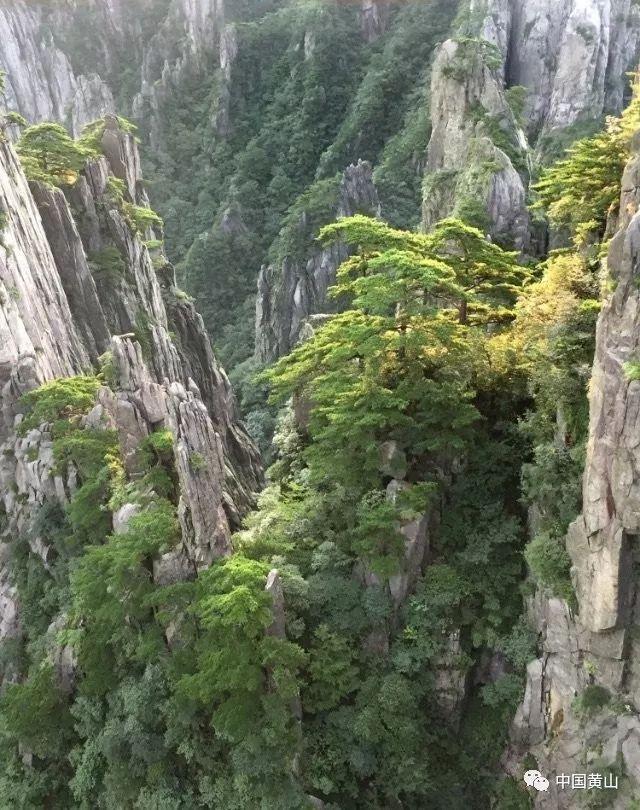 小勇士救公主